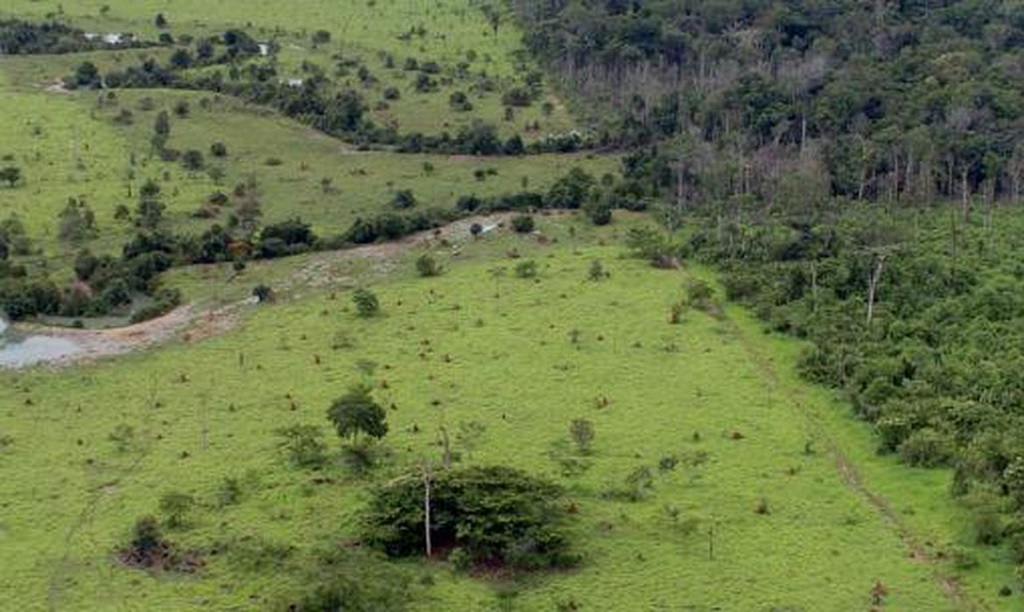 projeto rural na amazonia   pnud