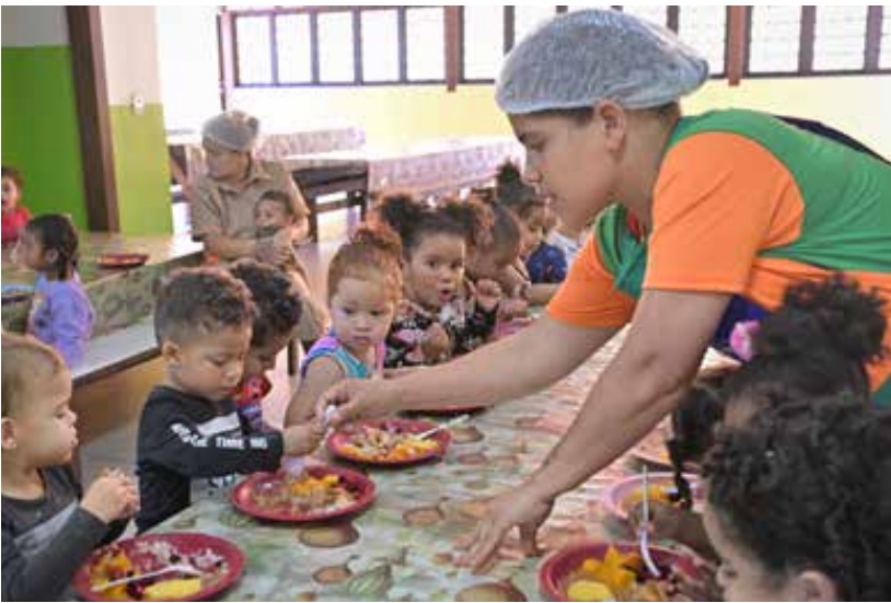 Cedro participações