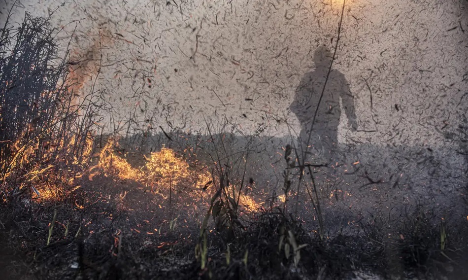 incendios