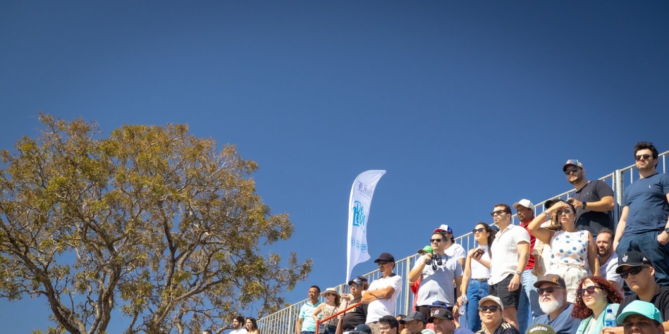 d35f2b56 4b2f 43bc b679 1ee493490de7