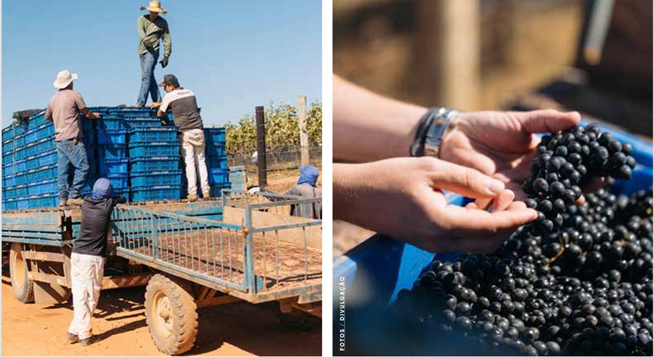 vb ed296 outubro 25 b capa riqueza cultural