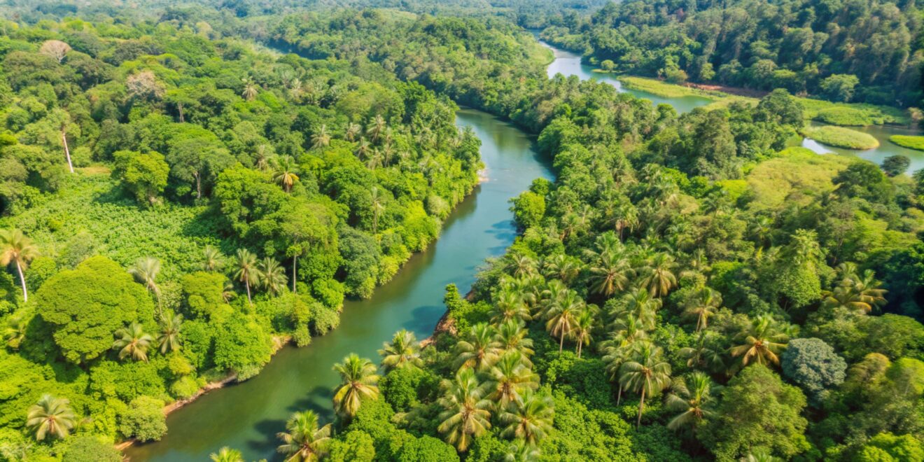 vista aerea de um rio serpenteando atraves de uma selva verde exuberante