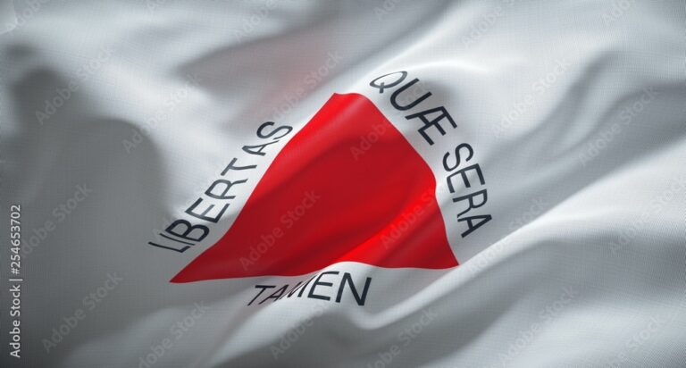 bandeira mg
