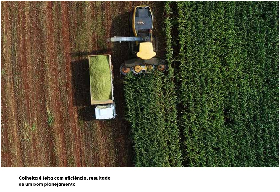 vb ed297 novembro 25b 1 agro em movimento