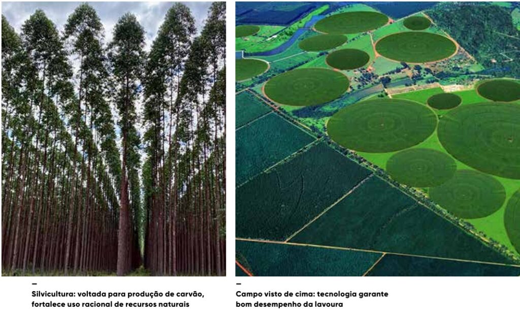 vb ed297 novembro 25b 3 agro em movimento