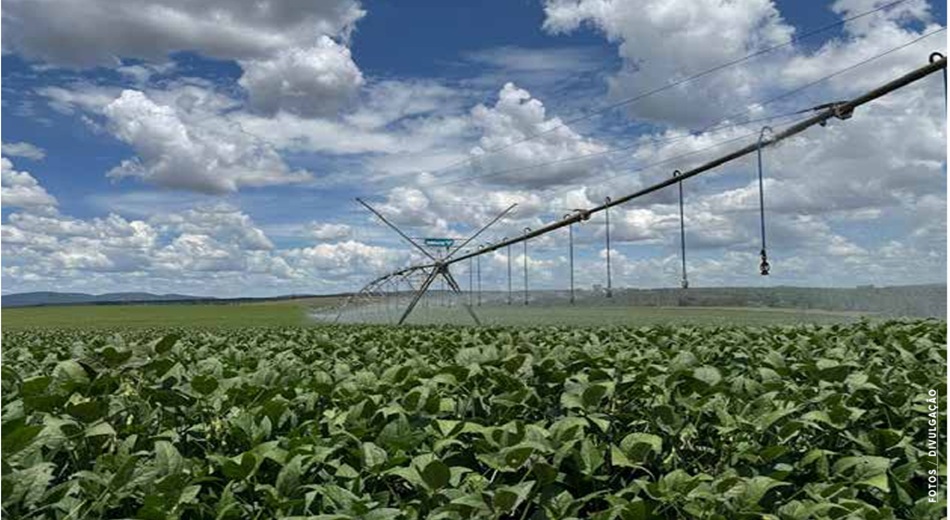 vb ed297 novembro 25b capa agro em movimento