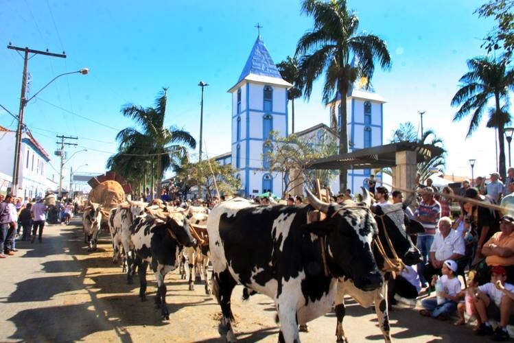 WhatsApp Image 2025 12 04 at 08.52.35