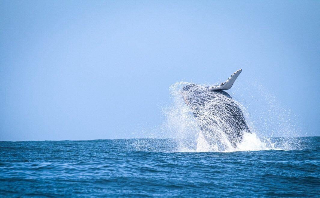 WhatsApp Image 2025 12 05 at 17.03.15 (1)