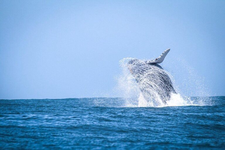 WhatsApp Image 2025 12 05 at 17.03.15 (1)