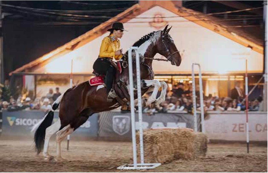 vb ed298 dezembro 25 b 1 gestao e legado