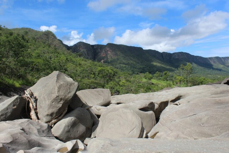 diegoavi pirenopolis 4898827 1920