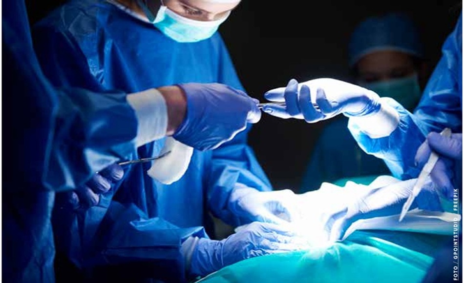 VB ED299 JANEIRO 26 capa1 a nova era do bistori