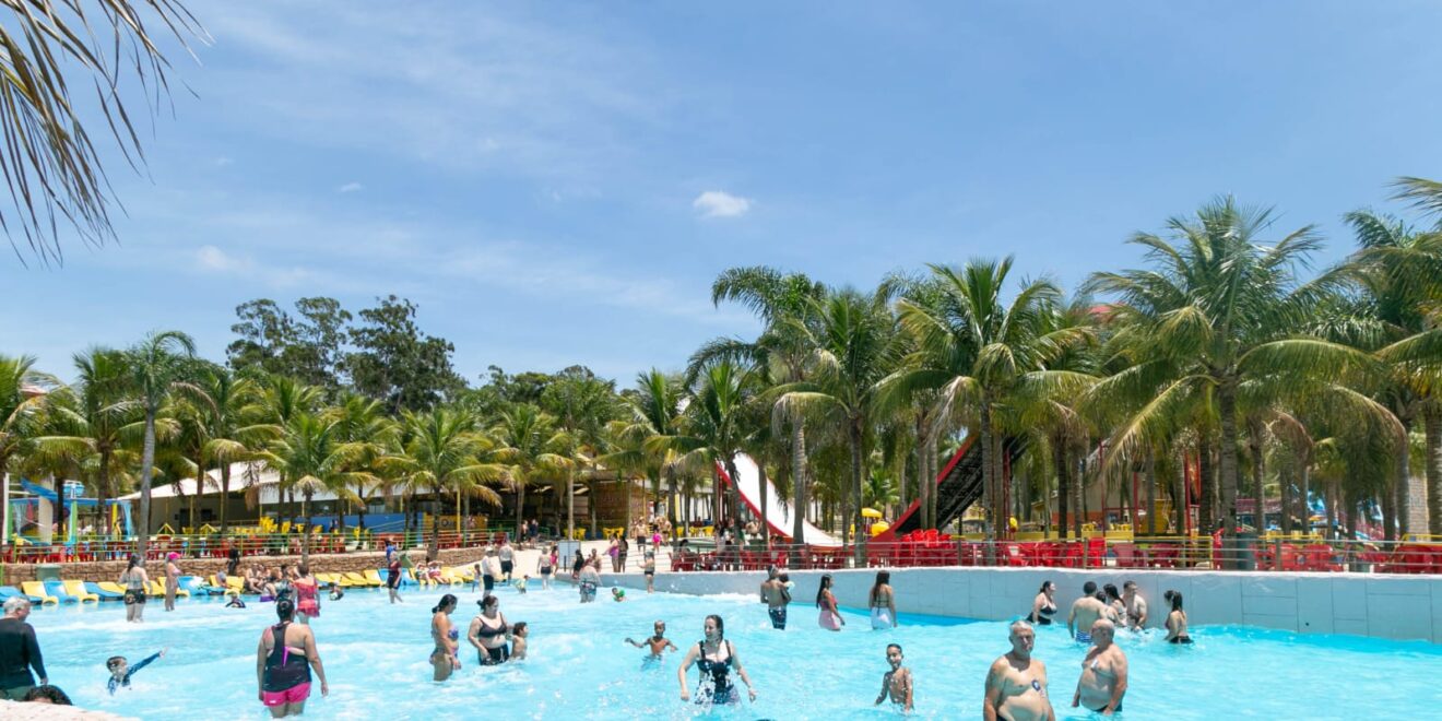 WhatsApp Image 2026 01 13 at 17.03.25