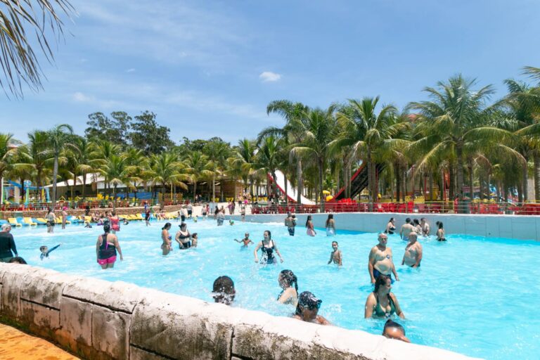 WhatsApp Image 2026 01 13 at 17.03.25