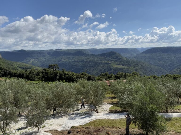 WhatsApp Image 2026 02 18 at 09.37.48 (1)