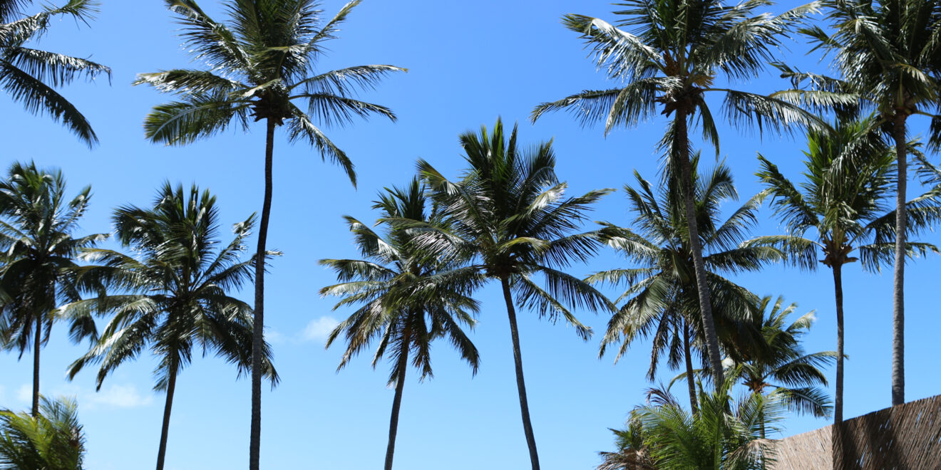 O hotel é um verdadeiro refúgio na beira mar da Praia do Patacho Crédito Marco Antônio