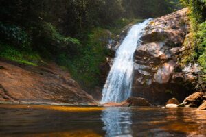 WhatsApp Image 2026 03 11 at 18.00.54