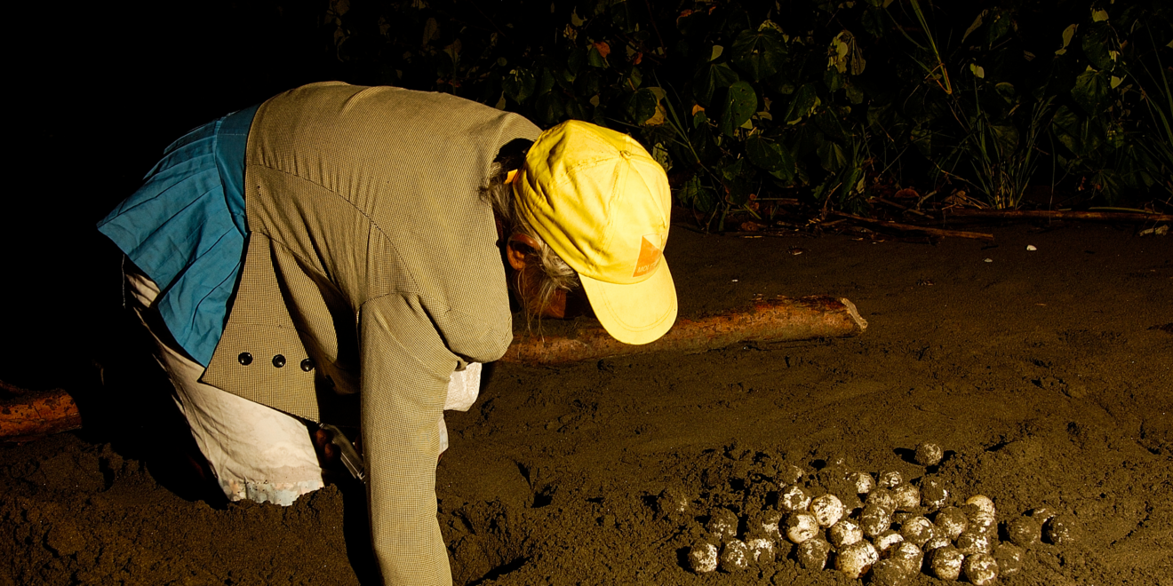 online Cañas Island, Los Santos province