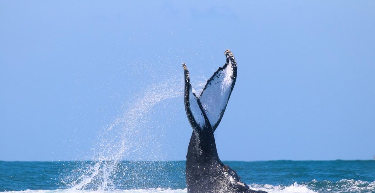 WhatsApp Image 2025 12 05 at 17.03.13 (2)