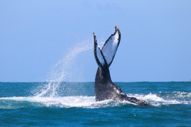 WhatsApp Image 2025 12 05 at 17.03.13 (2)