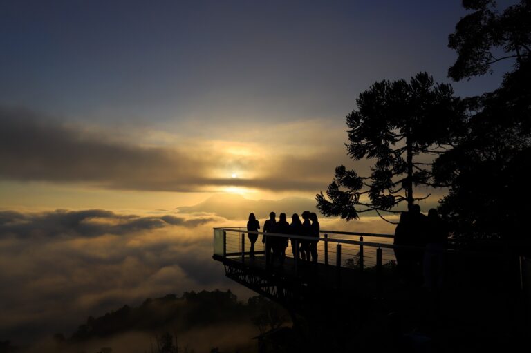 pico Malwee (3).JPG