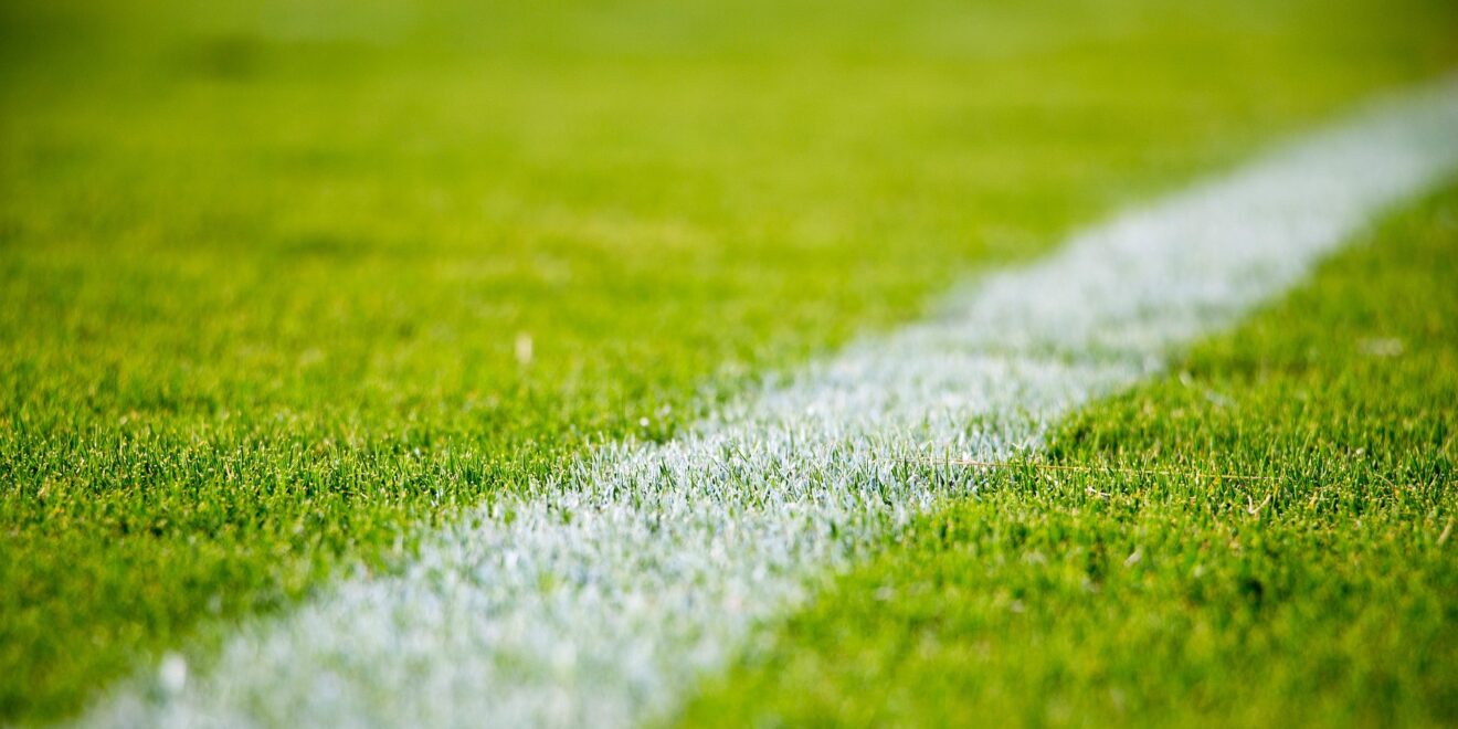 stocksnap grass 2616911 1920