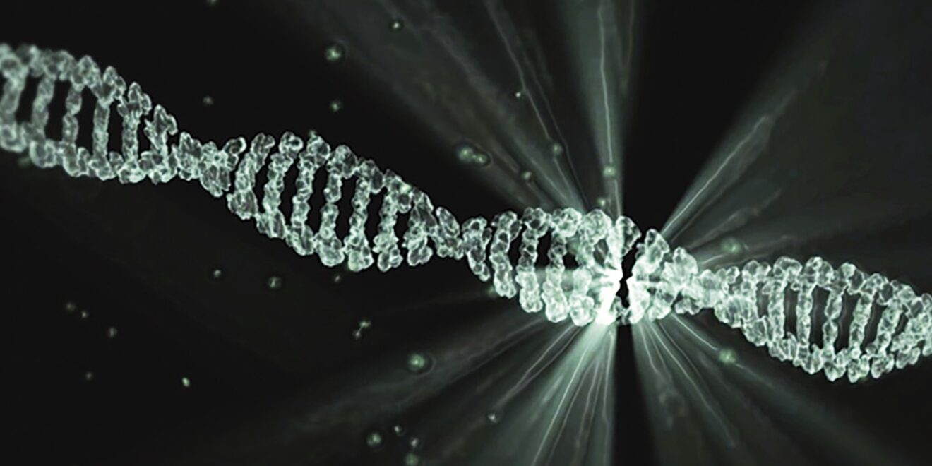 lacasadegoethe dna 2649850 1920