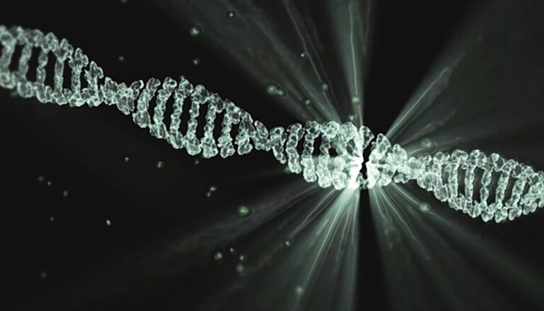 lacasadegoethe dna 2649850 1920