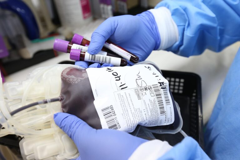 ahmadardity donation 5053760 1920