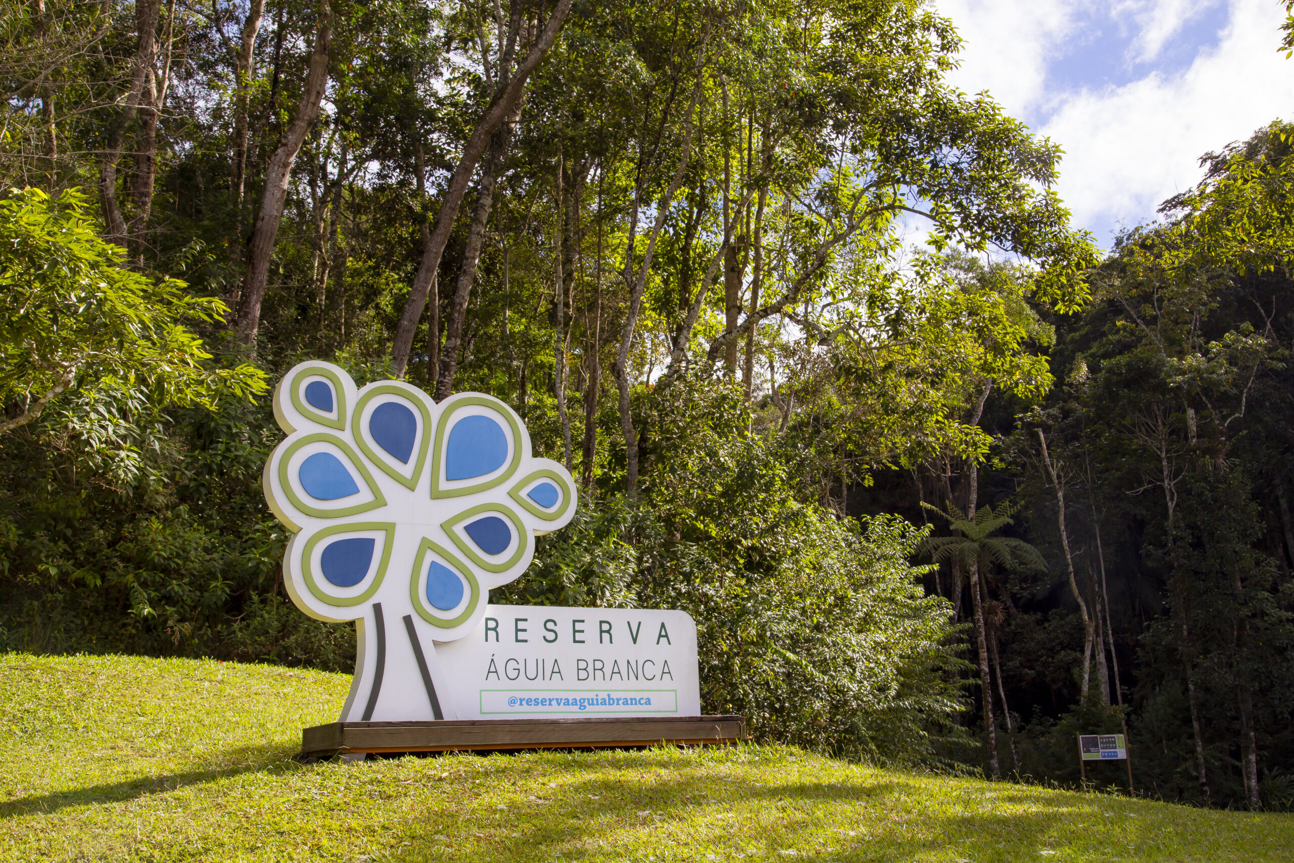 Externas (1)