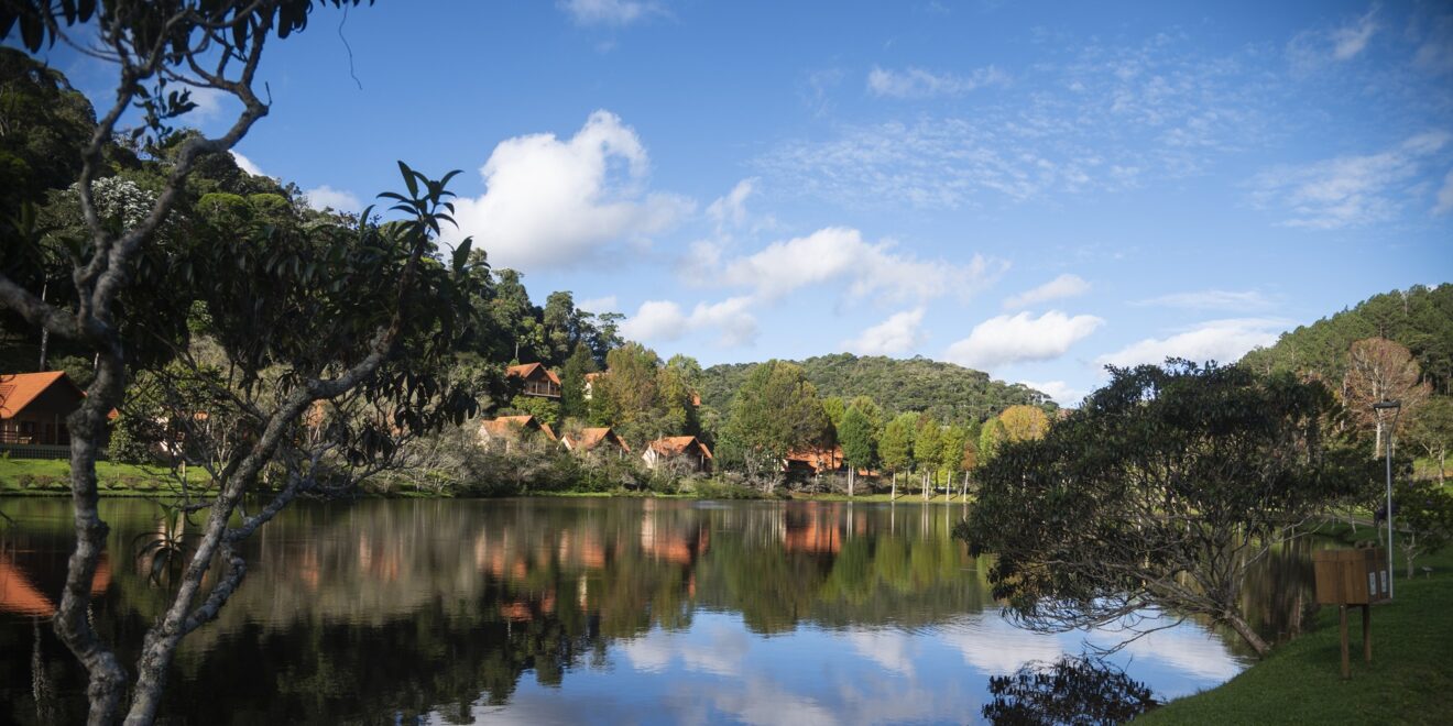 Natureza Ecolodge 474