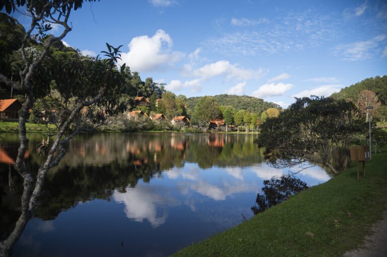 Natureza Ecolodge 474