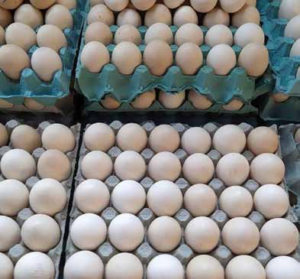 vb ed307 setembro 2 ovos duas gemas mercado central